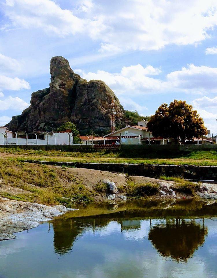 Navegue pela Categoria de Pé de Serra